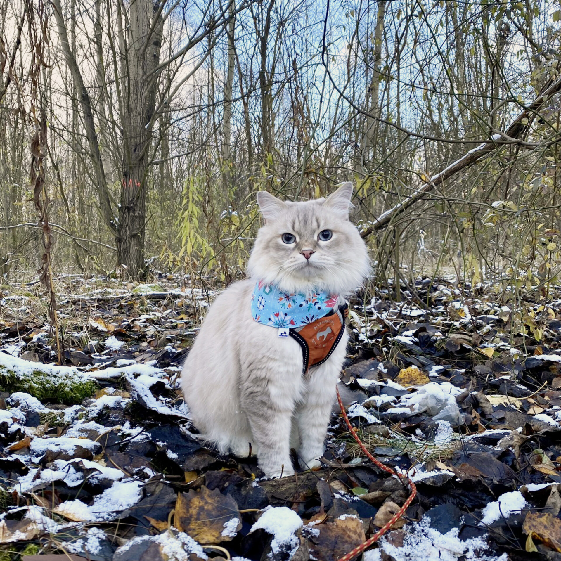 Indy-winter-bandana etsy Indy winter bandana