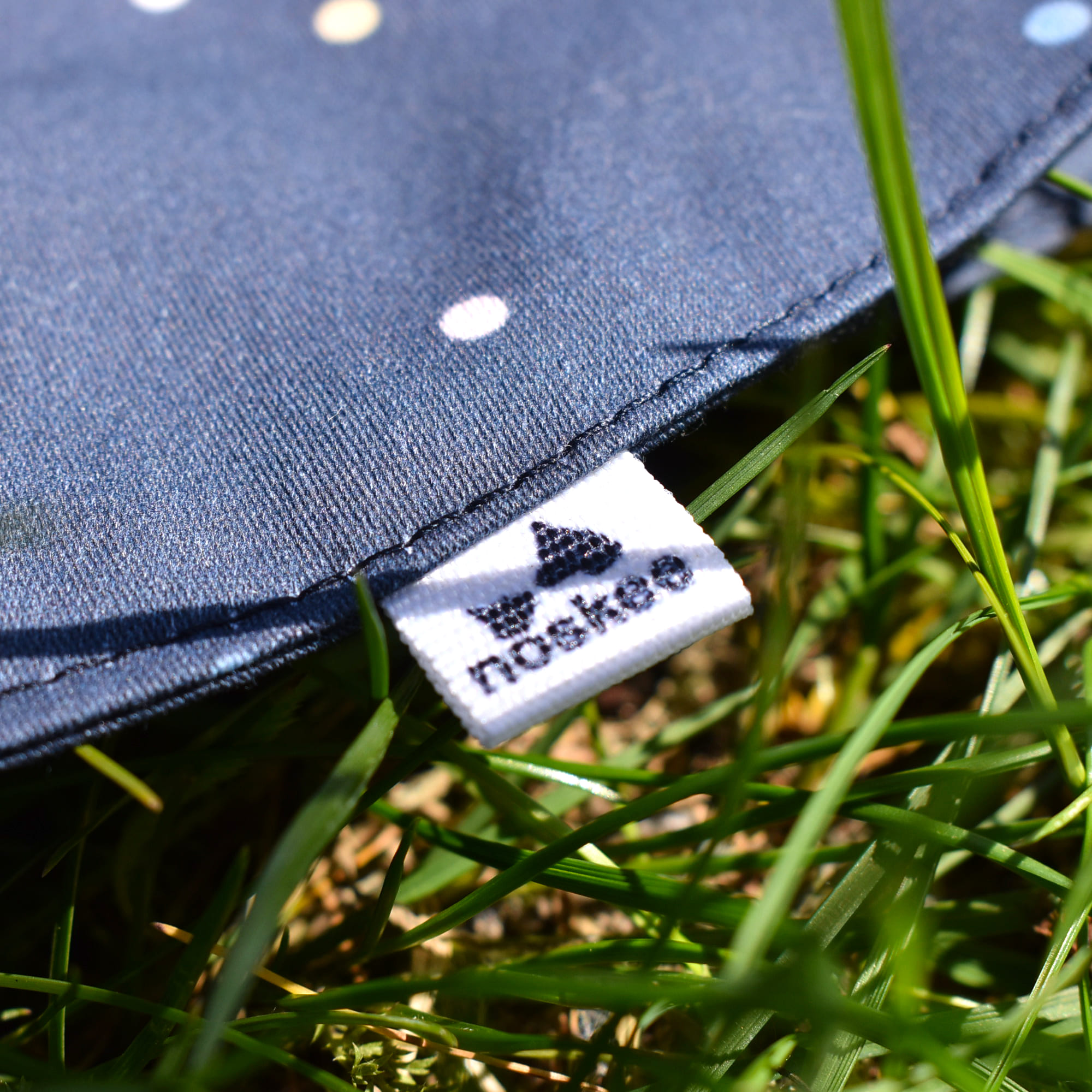 poladotzoom poladotzoom