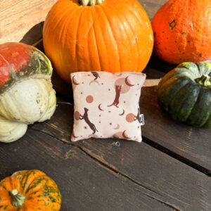 poduszeczka Mooney Cats, poduszeczka do przytulania i gryzienia dla kota, z kociemiętką, matatabi, walerianą, zabawka dla starszego kota