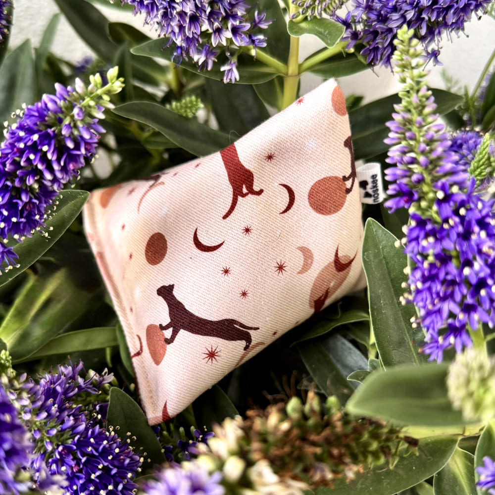 noskeelungomooneycatspyramid3 noskeelungomooneycatspyramid3