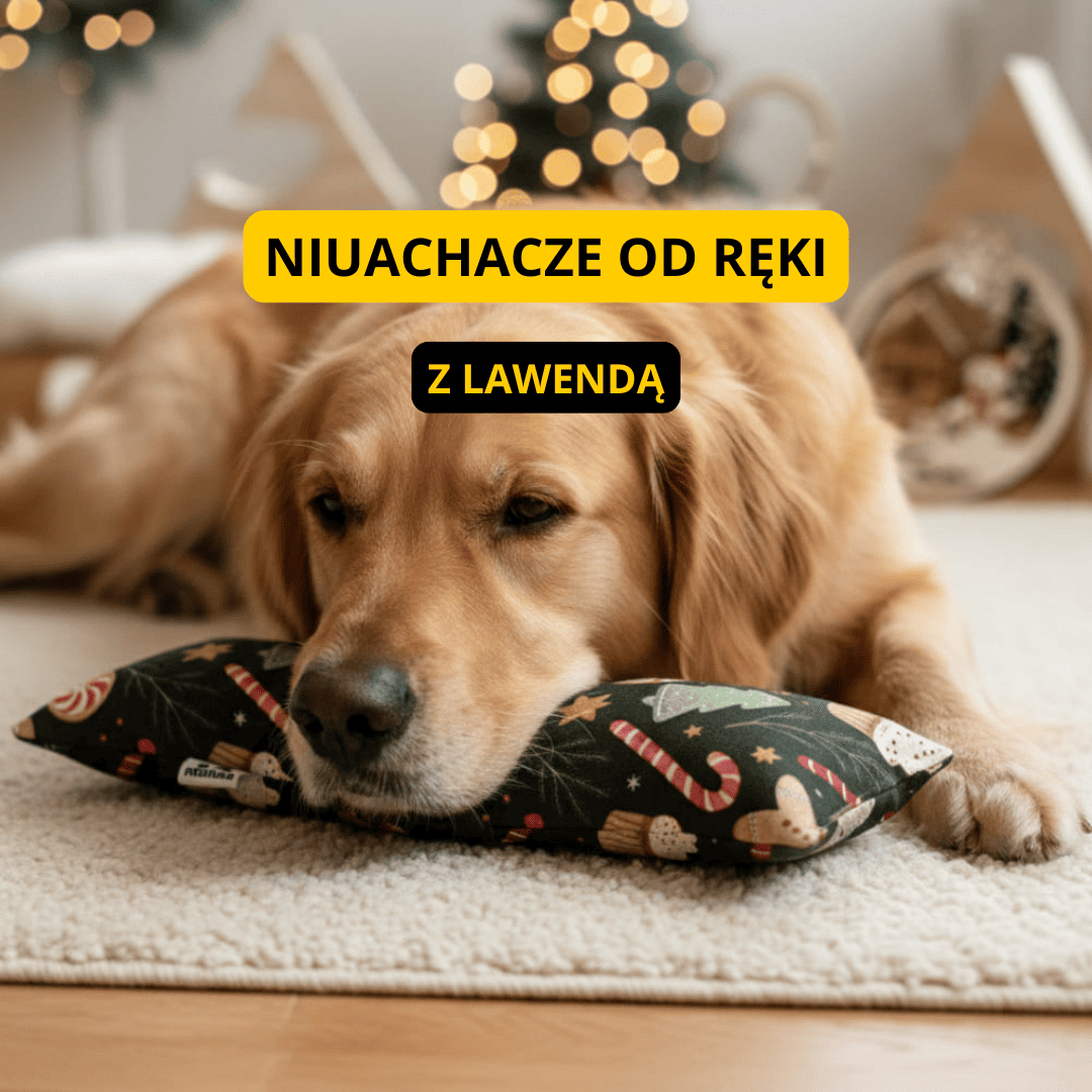 kopacze z matatabi od ręki (1) Niuchacz z lawendą dla psa, wsparcie w Sylwestra, fobia dźwiękowa u psa