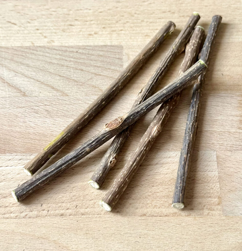 patyczki matatabi cienkie, matatabi dla kota, gryzak dla kota